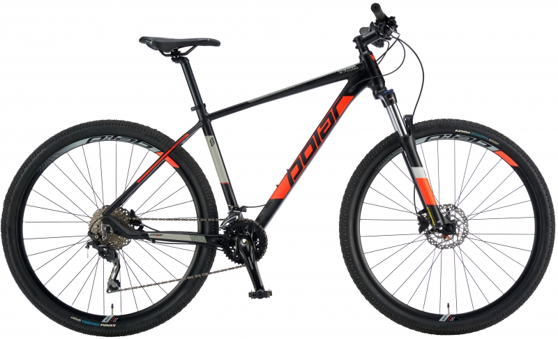 Polar 29